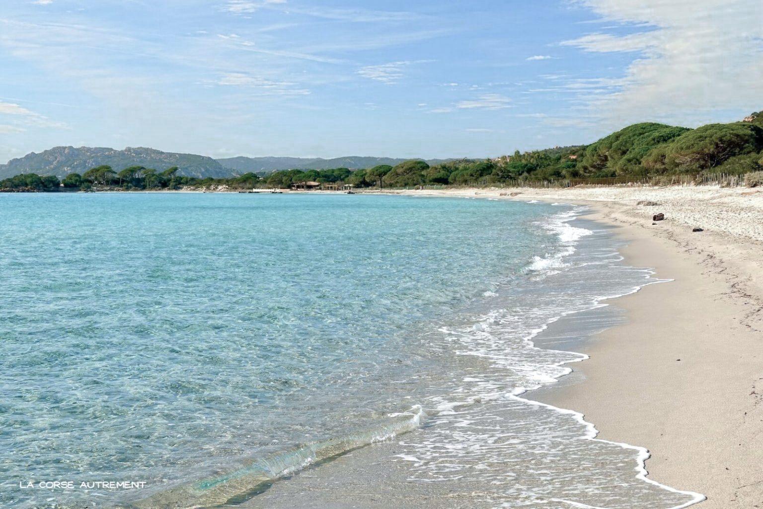 La plage de Palombaggia, au sud de Porto-Vecchio