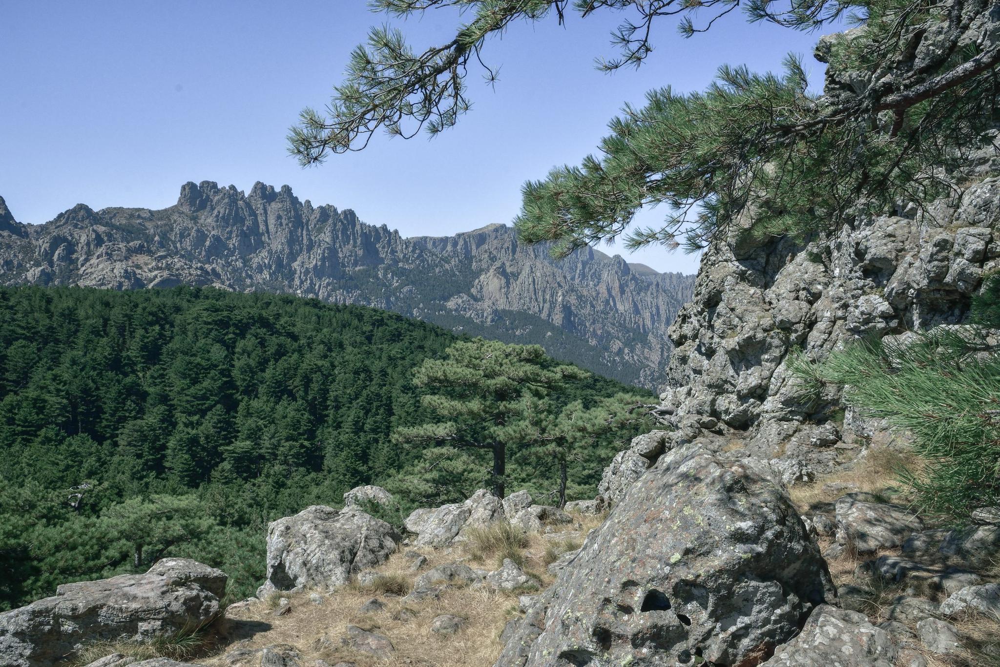 Une rivière de l’Alta Rocca